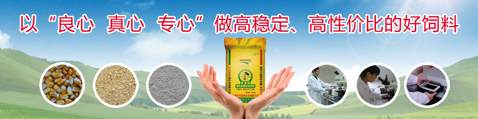 华农恒青以“良心 真心 专心”做最好的猪饲料
